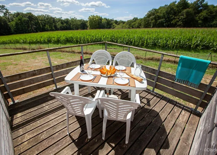 Ośrodek wypoczynkowy Olydea La Chalosse - 3*